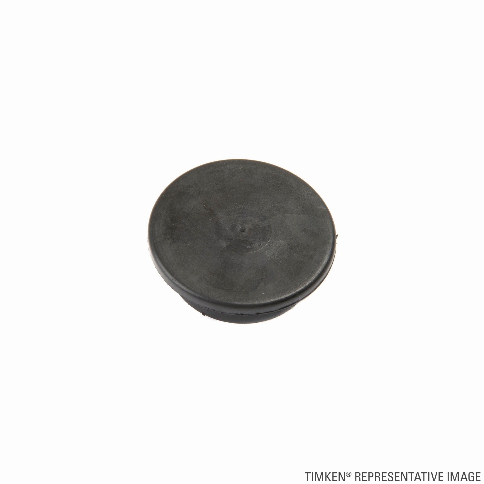 Timken B300 Grease/Oil Seal